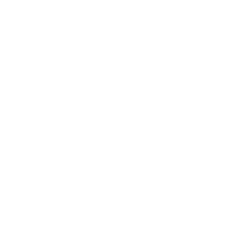 Panoramic Artists